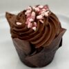Chocolate Peppermint Cupcake